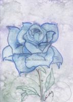 blue rose